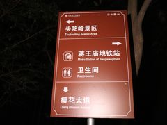 -紫金山山顶公园