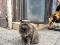-胡椒猪肚汤(康王店)