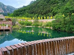 -王莽岭风景区