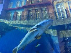 -华夏文旅海洋公园