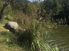 -宁波富邦荪湖山庄(慈城古县城店)