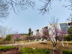 -山东艺术学院(长清校区)