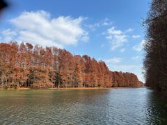 -上海海湾国家森林公园