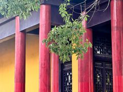-海天禅寺