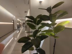 -美悦湾月子中心(熙湖店)
