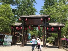 -合肥滨湖国家森林公园