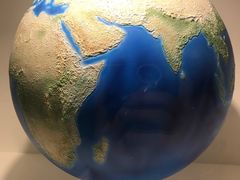 -墨尔本博物馆(Melbourne Museum)