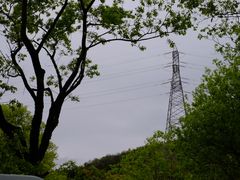 -西湖风景区-江洋畈生态公园