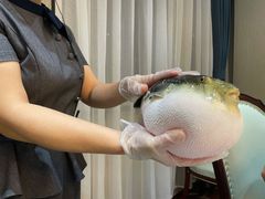 -鲐赏河豚(长寿店)