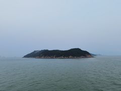 -招商蛇口邮轮母港(观光客运)