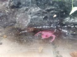 -酷嗒动物文化乐园(cutezoo西溪乐天城店)