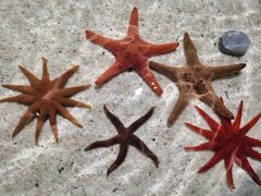 -福州罗源湾海洋世界旅游区