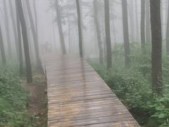 -驼梁风景区
