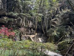 -梭布垭石林景区