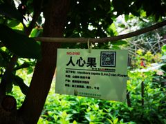 -北京呀路古热带植物园