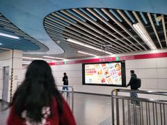 -大望路(地铁站)