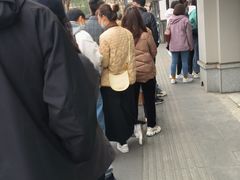 -邓氏兔头