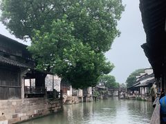 -乌镇东栅景区