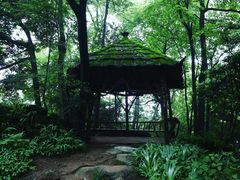 -青城山