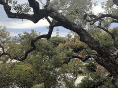 -江心屿景区