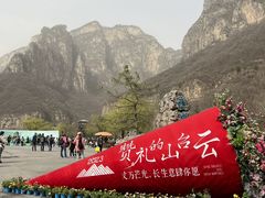 -云台山风景名胜区