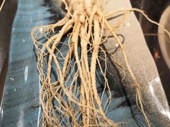 -千岛蚝高压锅生蚝·人参火锅(白云万达店)