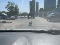 -金门福星驾校(玉兰路总校)