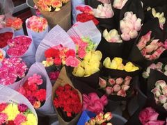 -三圣花乡旅游区