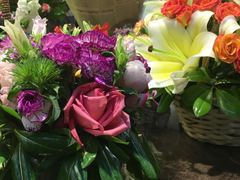 -双季花艺园艺市场(浦东店)