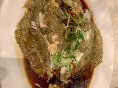 清蒸多宝鱼-正院大宅门烤鸭(首体店)