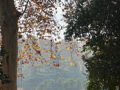 -河南省黄河迎宾馆