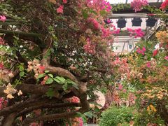 -呀路古热带植物园