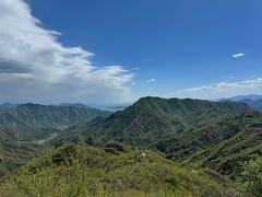 -大岭沟猕猴桃谷风景区