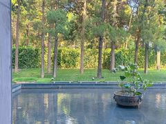 -曲水兰亭(北京四惠店)