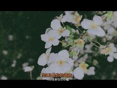 -潮牛壹号鲜牛肉火锅(新亚太店)