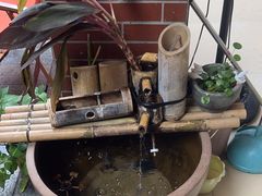 -鱼乐岛餐厅·户外花园主题餐厅