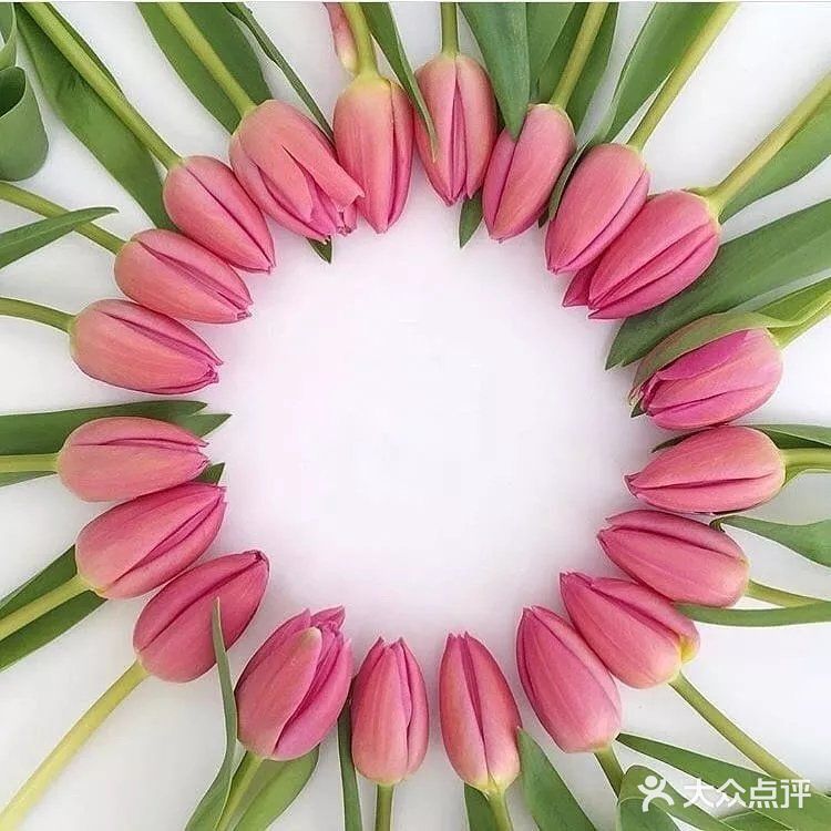 亭亭玉立郁金香🌷