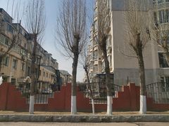 -五月古筝钢琴私塾