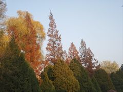 -晋祠公园