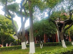 -南京中国近代史遗址博物馆(南京总统府)