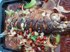 -撒拉人家.酸菜牦牛肉火锅