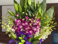 -上海德星奔驰(江杨南路店)