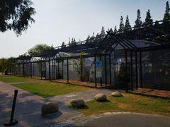-前小桔亲子创意农场·草莓采摘·露营烧烤