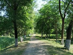 -紫光园(顺义店)