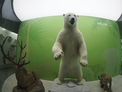 -国家自然博物馆