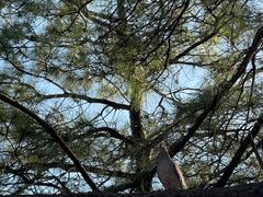 -敬亭山风景名胜区