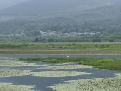 -腾冲北海湿地