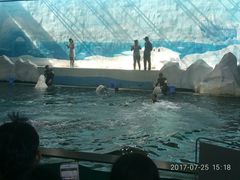 -秦皇岛乐岛海洋王国