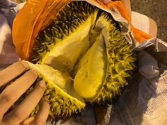 -油麻地果栏