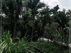 -万泉河漂流